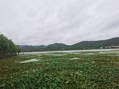 -鸣鹤古镇