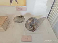 -北京动物园-畅观楼