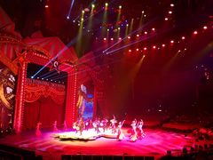 -珠海横琴长隆《卡卡虎奇遇记》