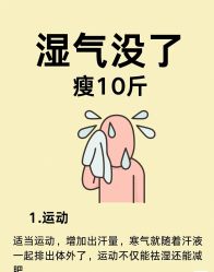 -雅曼妮spa美容养生