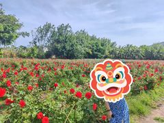 -亚龙湾国际玫瑰谷