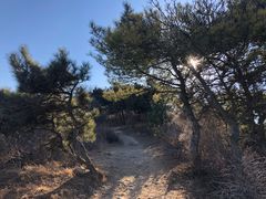 -阳台山自然风景区