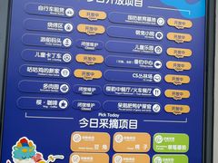 -菊园百果园
