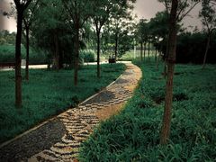 -天津东丽湖风景区