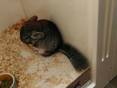 -龙猫仔乐园(惠福东路店)