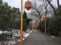 -洛阳市隋唐城遗址植物园