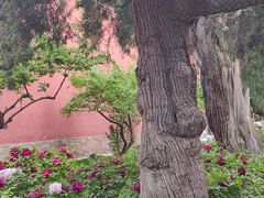 -北京市劳动人民文化宫(太庙)