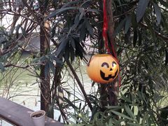 -南京夫子庙国际青年旅舍(平江府路店)