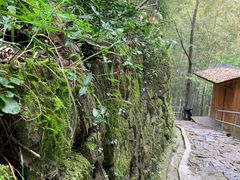 -丹山赤水风景名胜区