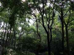 -泰山风景名胜区