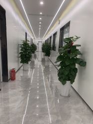 点击看大图 -悟空祛痘
