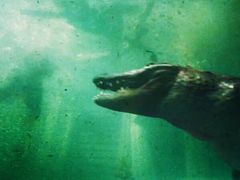 -汉阳天河电影城(王家湾店)