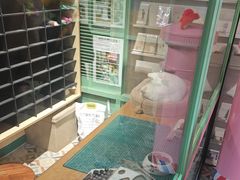 -猫咪博物馆(顶澳仔猫街店)