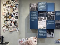 -伟伟宠物医院·CT影像中心·瑞派犬猫综合性门诊(汉口总院)