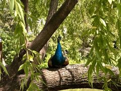 -J Create城市露营咖啡·简餐·宠物(上海动物园店)