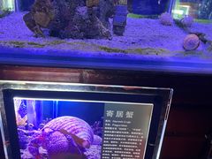 -太平洋海底世界