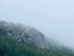 -白草畔自然风景区