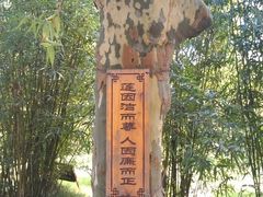 -水绘园