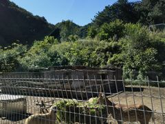 -北京山里寒舍度假酒店