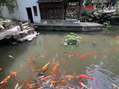 -兴福老面馆(寺路街店)