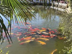 -翠湖公园