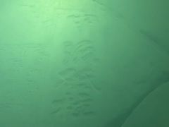 -白鹤梁水下博物馆