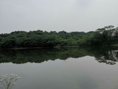 -盘龙城国家考古遗址公园