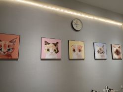 -洗脸猫·洗脸吧