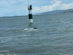 -鼓浪屿钢琴博物馆