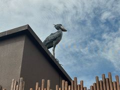 -新加坡飞禽公园