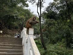 -黔灵山公园