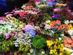 -双季花艺园艺市场(浦东店)