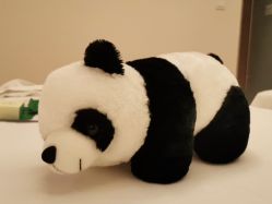 -美丽田园Beauty Farm