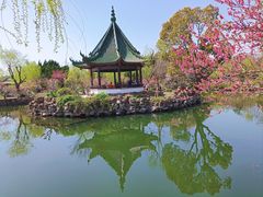 -无锡蠡湖国家湿地公园-蠡园
