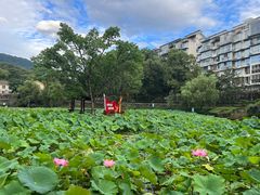 -西南交通大学(峨眉校区)