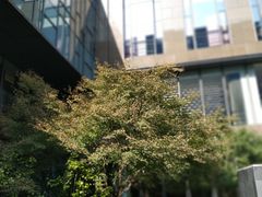 -上海漕河泾万丽酒店