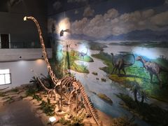 -自贡恐龙博物馆