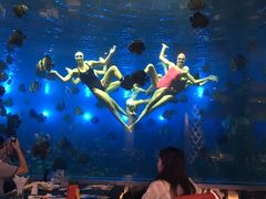 -瑞德姆美人鱼海底演艺主题餐厅(亚龙湾店)