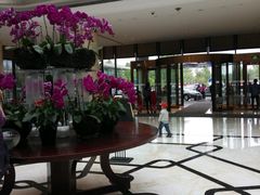 -廊坊固安福朋喜来登酒店