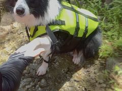 -安吉龙王山峡谷漂流