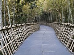 -福道