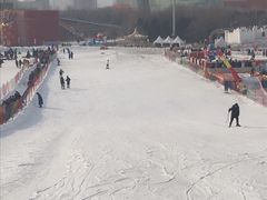 -沈阳奥体冰雪嘉年华