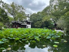 -颐缘居·南翔小笼馆