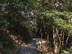 -火炉山森林公园