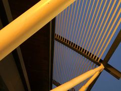 -珠江夜游省总码头