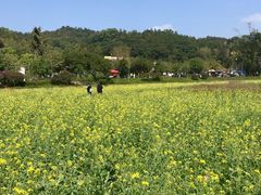 -红山村
