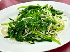 -新峰肉骨茶