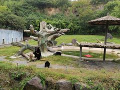 -宁波野生动物园