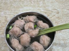 -肉燕扁食草包飯(东街店)