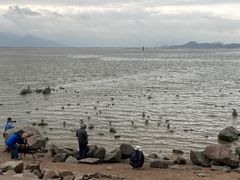 -深圳湾公园(南山区)